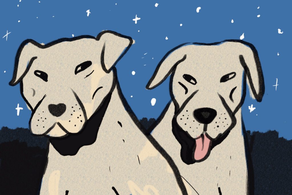 Digital painting of two large white dogs with a starry sky and a bit of shadow behind them. It's a bit of a 'woodcut' style, though full colour. One dog has their tongue out, one doesn't. 